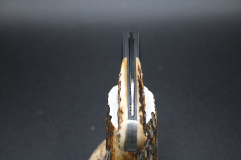 Todd Davison # 2742 Gorgeous Stag Barlow Knife