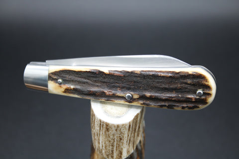 Todd Davison #2755 Gorgeous Stag