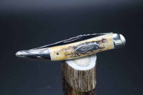 Case Classic White Stag Toothpick.