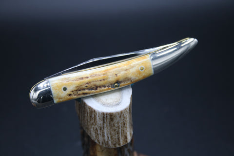 Case Classic White Stag Toothpick.