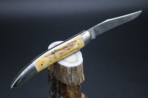 Case Classic White Stag Toothpick.