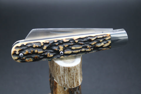 Todd Davison #2796 Gorgeous Rare Stag.