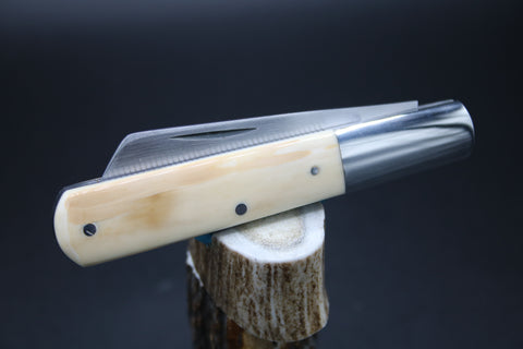 Todd Davison Walrus Ivory Barlow #2801
