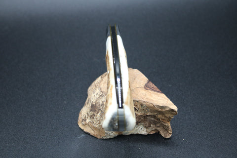 Cooper Cutlery Antique White Stag