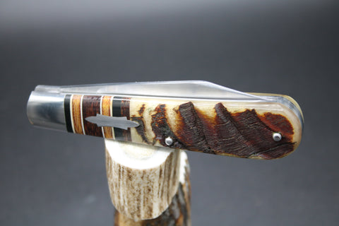 Todd Davison Ram Horn Striper #2802