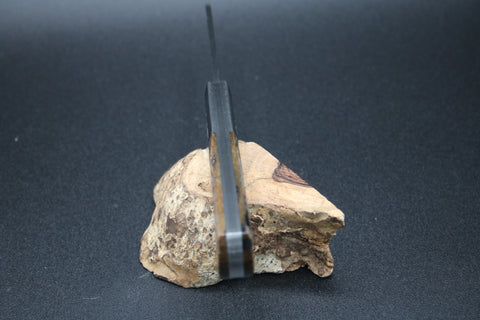 Cooper Cutlery Schatt & Morgan Buffalo Horn Fossil Barlow.