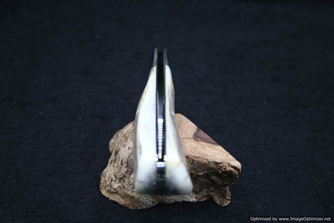 Schatt & Morgan Select #01 Antique White Stag Wharncliff. 1 of 30 Made.